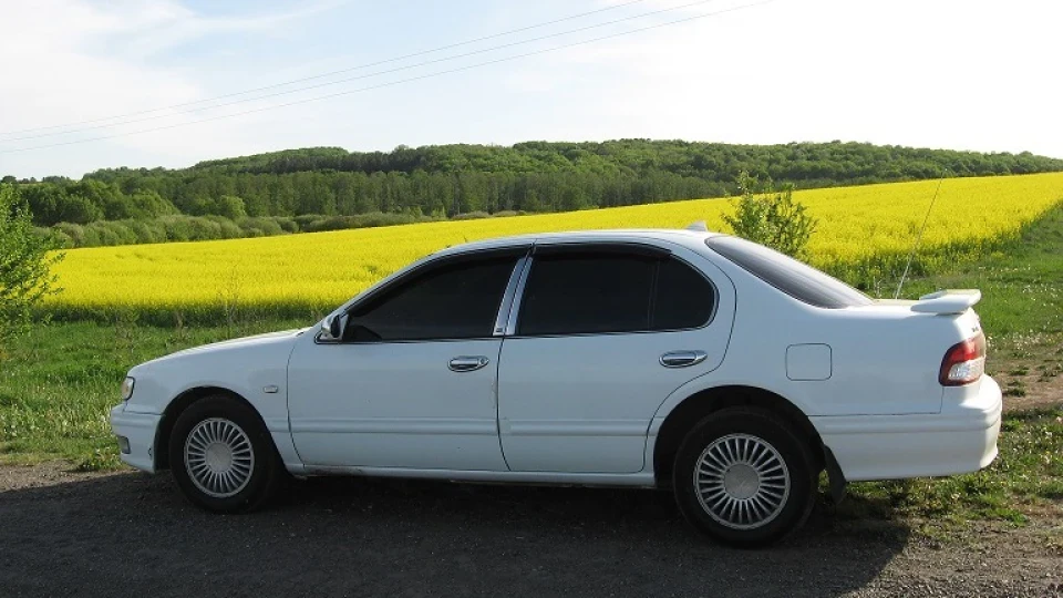 Nissan Maxima QX 5