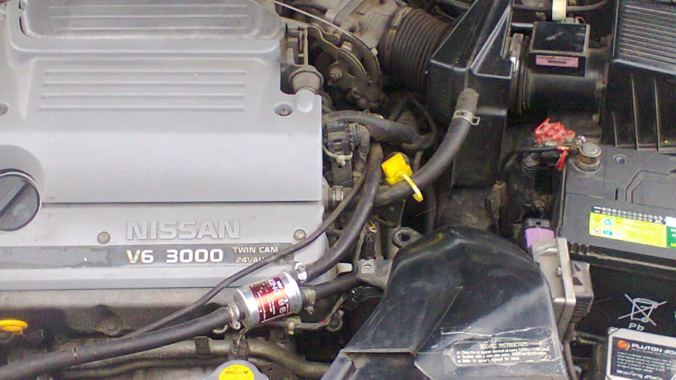 Nissan Maxima QX 5
