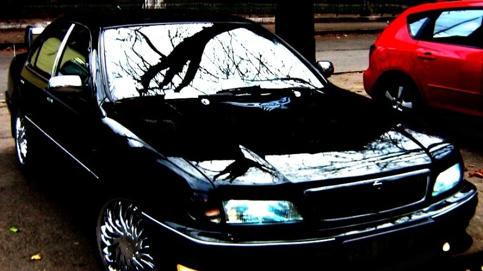 Nissan Maxima QX 255hp マキシマ 2