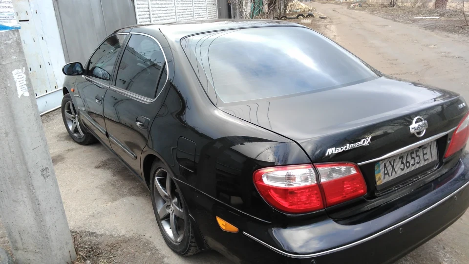 Nissan Maxima QX 3 літри щастя 3