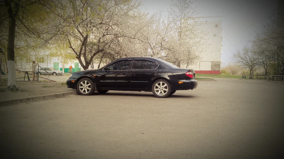 Nissan Maxima QX 3, мати його, літра! ) 4