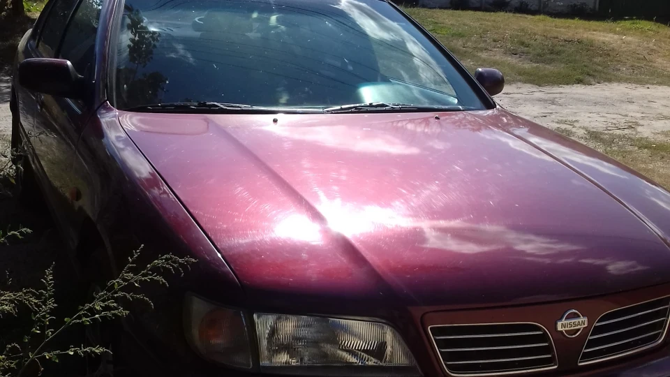 Nissan Maxima QX Бардо
