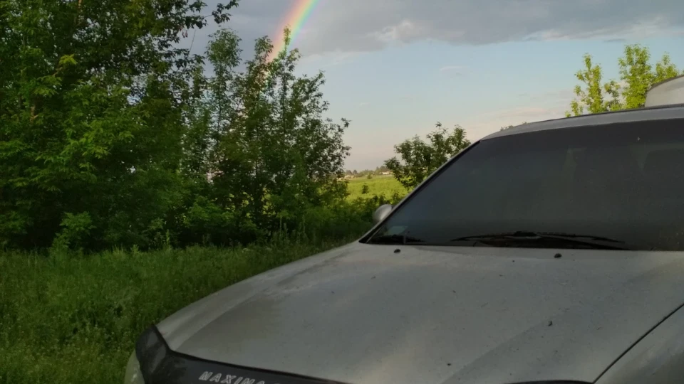 Nissan Maxima QX Японська волга