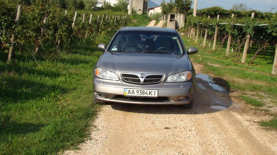 Nissan Maxima QX ☆Кав'як☆ 2