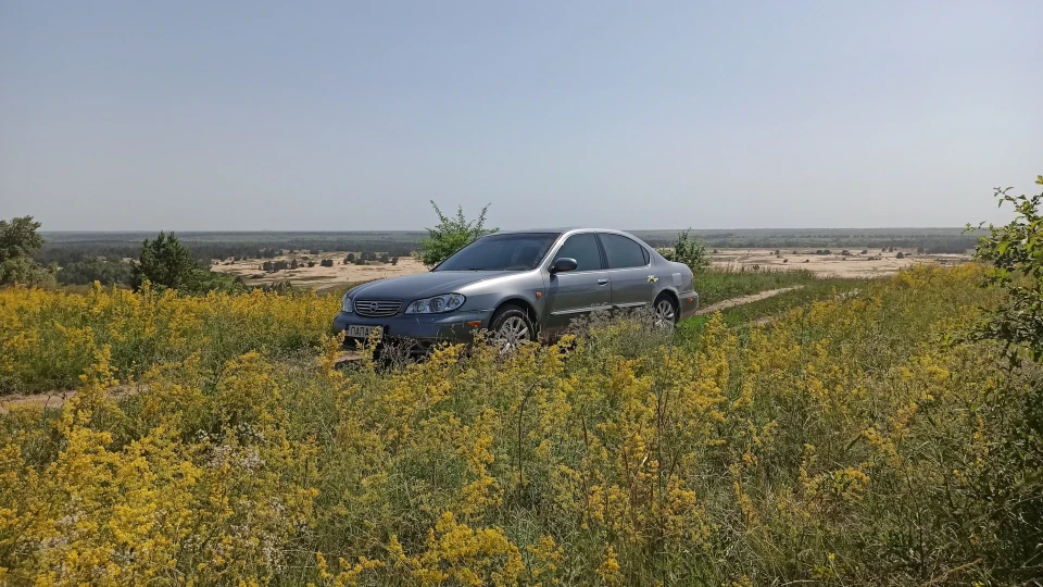 Nissan Maxima QX ПАПАХА 2