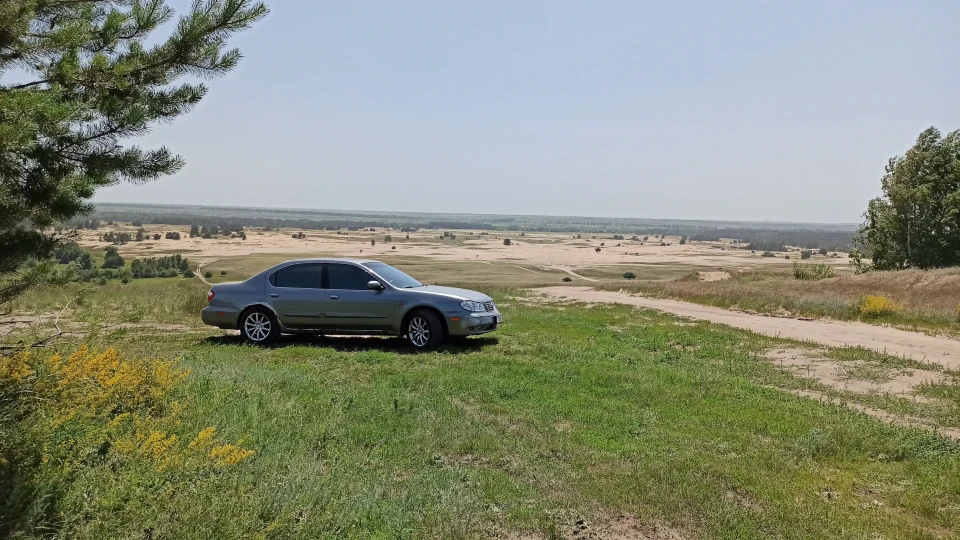 Nissan Maxima QX ПАПАХА 4