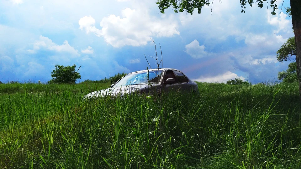 Nissan Maxima QX ПАПАХА 5