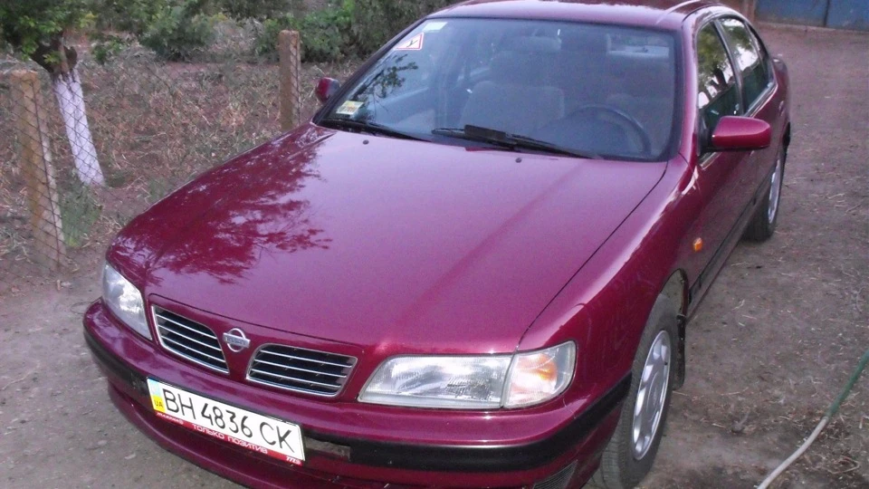 Nissan Maxima QX Сакура 3