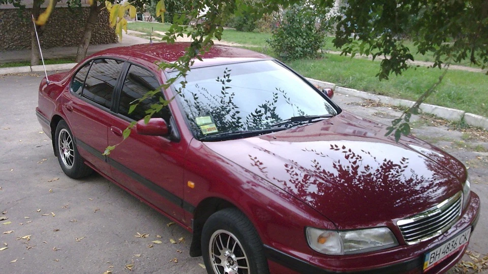 Nissan Maxima QX Сакура 5