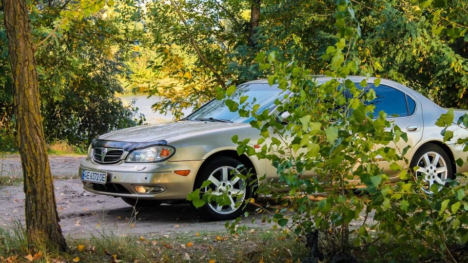Nissan Maxima QX СЬОМИЙ КРАСІВНИК 2