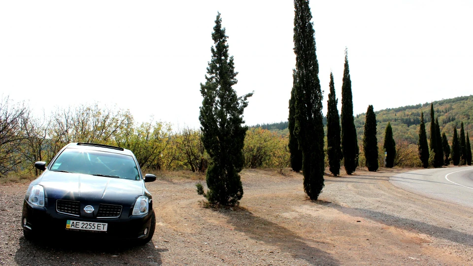 Nissan Maxima POWERFUL 2