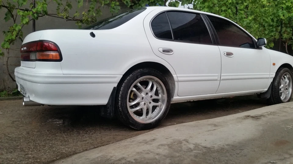 Nissan Maxima White horse 2
