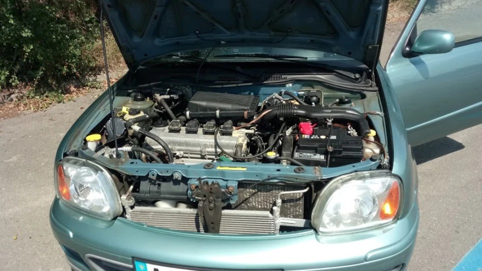 Nissan Micra черепашка 5