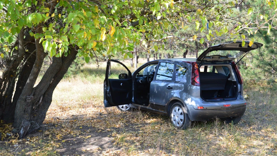 Nissan Note сера миша 2