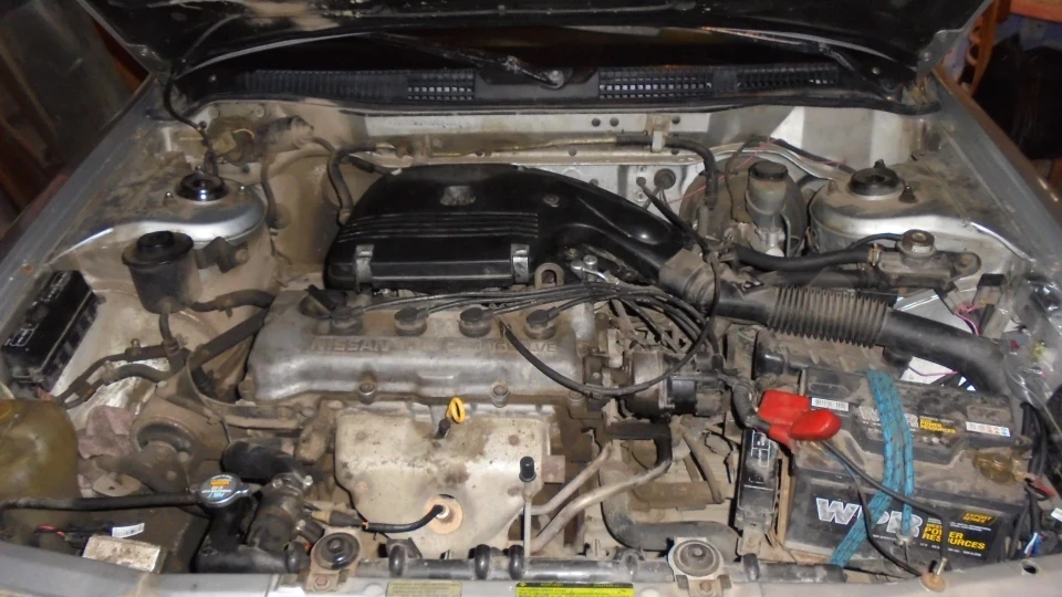 Nissan Primera 5