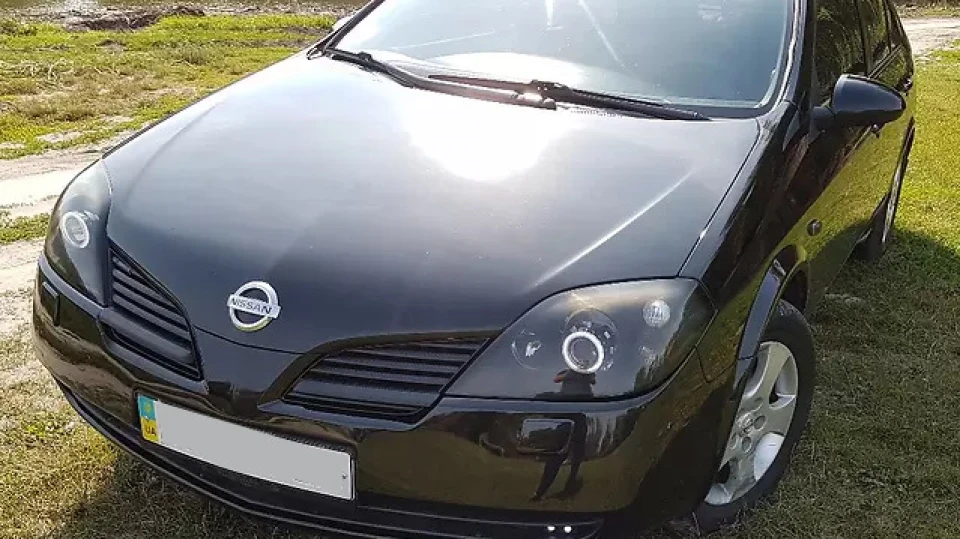 Nissan Primera Чорний кіт
