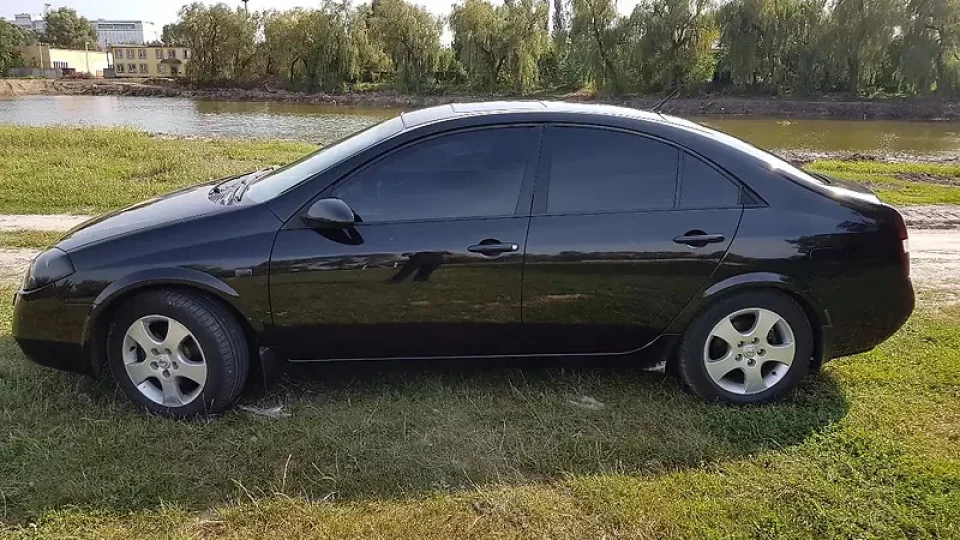Nissan Primera Чорний кіт 2