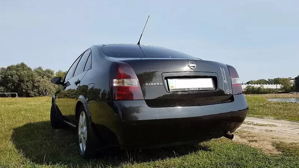 Nissan Primera Чорний кіт 3
