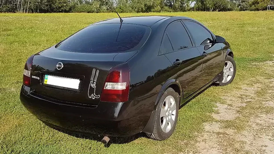 Nissan Primera Чорний кіт 4