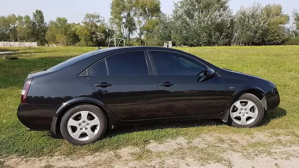 Nissan Primera Чорний кіт 5
