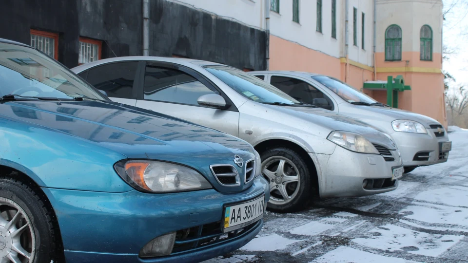 Nissan Primera домашній улюбленець 3