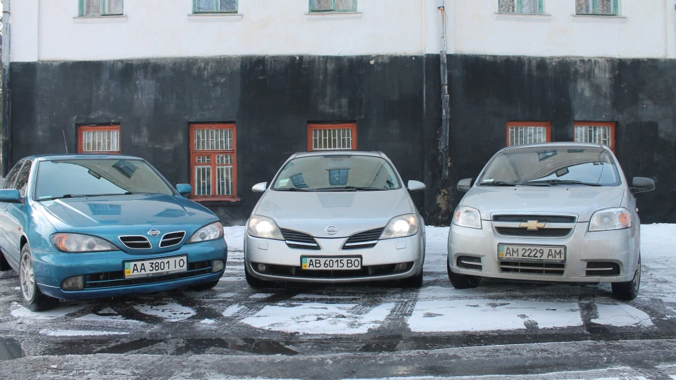 Nissan Primera домашній улюбленець 4