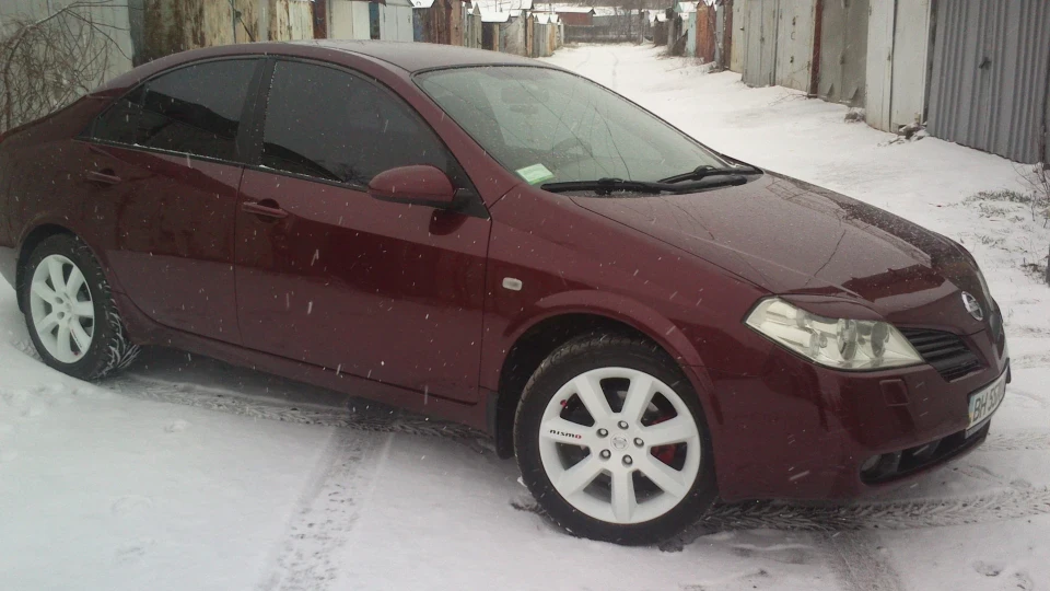 Nissan Primera I want to be lower:) 5