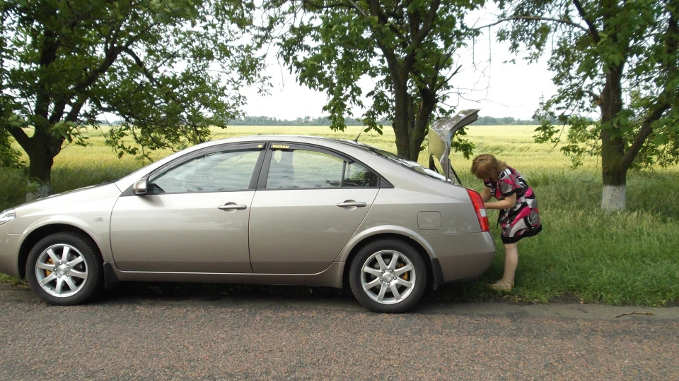 Nissan Primera =Ластівка= 3