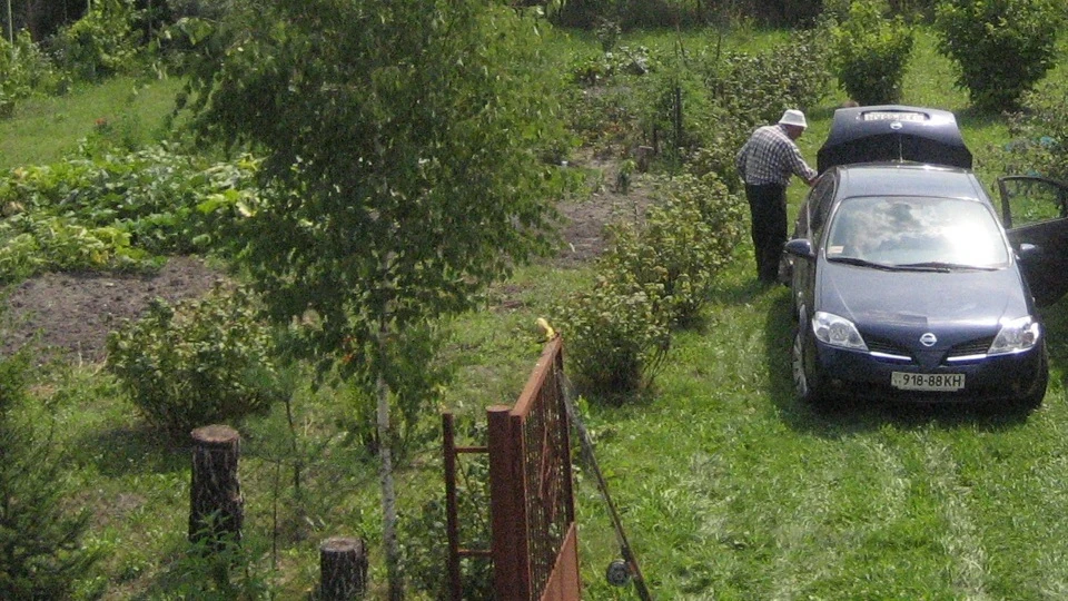 Nissan Primera Моторний човен 3