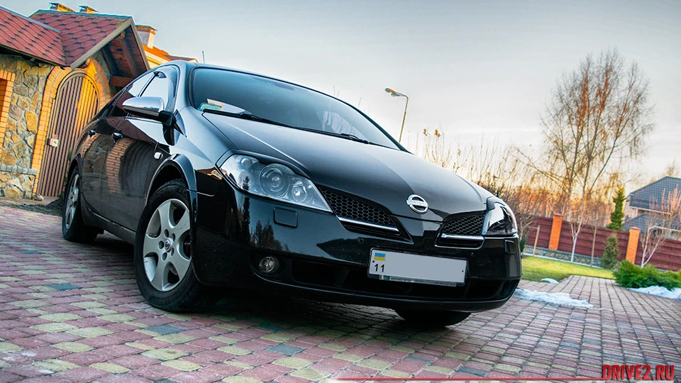 Nissan Primera "Plushy Hippo"