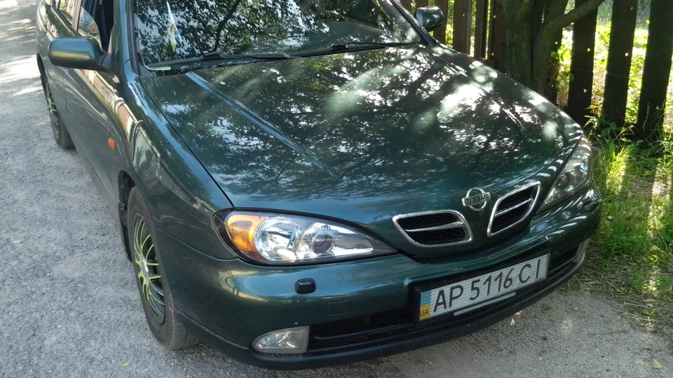 Nissan Primera Steel With Soul :) 2