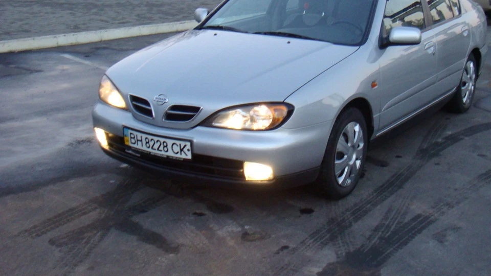 Nissan Primera тілочка) 5
