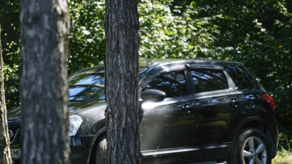 Nissan Qashqai 2