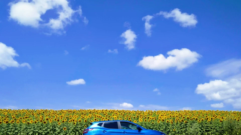 Nissan Qashqai Azure* бензинова синева 2