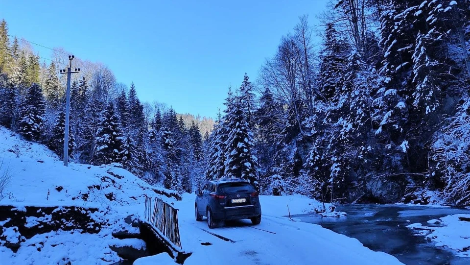 Nissan Qashqai Rogue Sport Розбійник 5