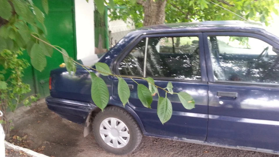 Nissan Sunny 3