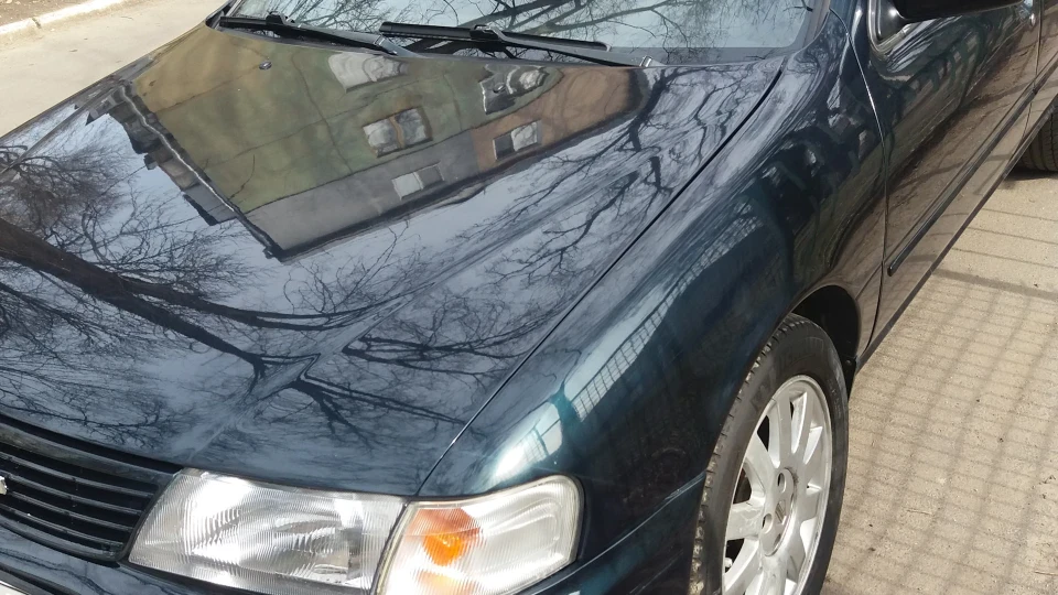 Nissan Sunny 5