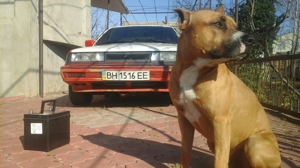 Nissan Sunny 1.8 GTI 3