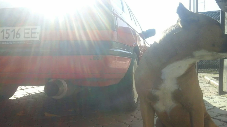 Nissan Sunny 1.8 GTI 4