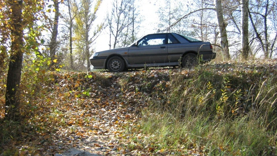 Nissan Sunny Сірий