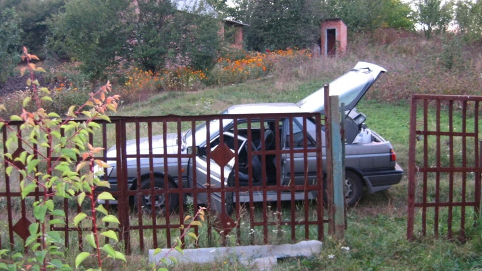 Nissan Sunny Сірий 4