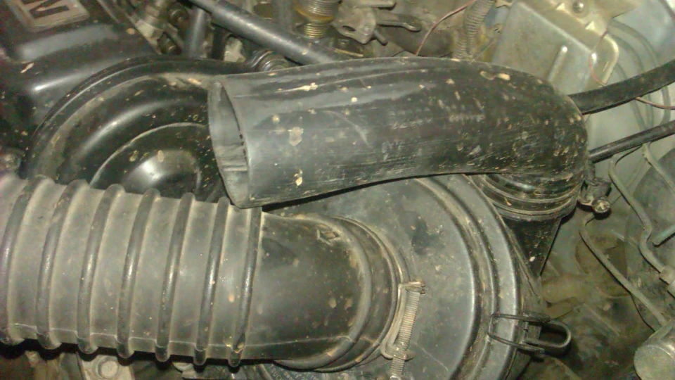 Nissan Sunny синій дракончик 2