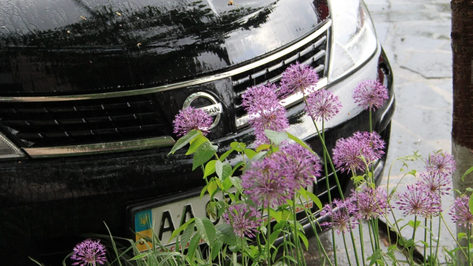 Nissan Tiida Шушпанчик