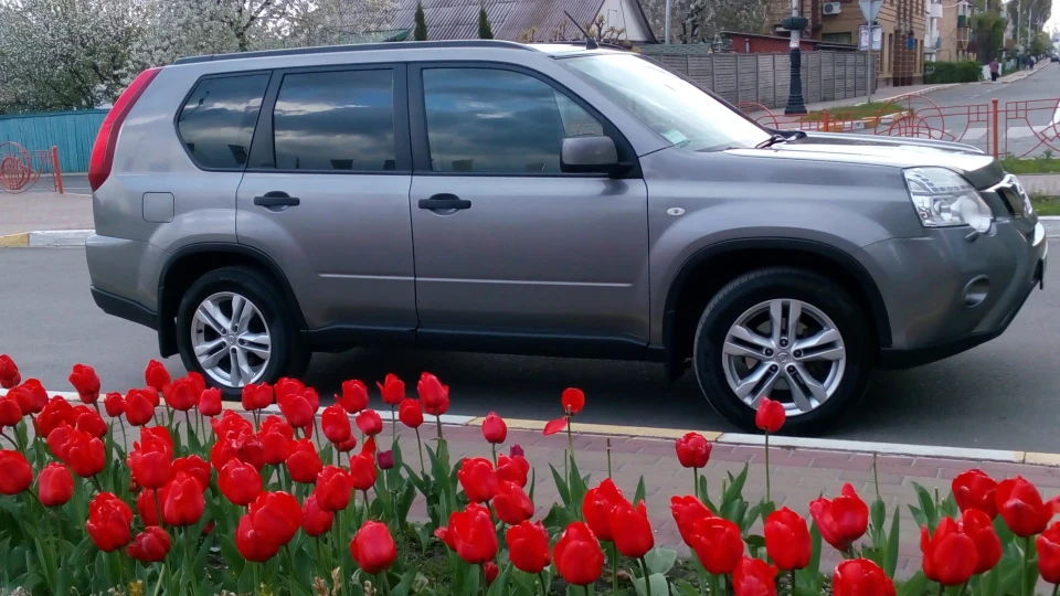 Nissan X-Trail 2,0 МКП Сірий Шукач 2