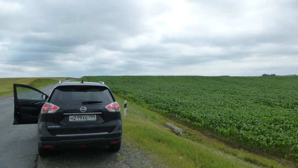 Nissan X-Trail Чорний Дракон ) 4