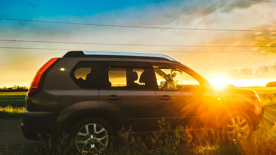 Nissan X-Trail Кабачок 4