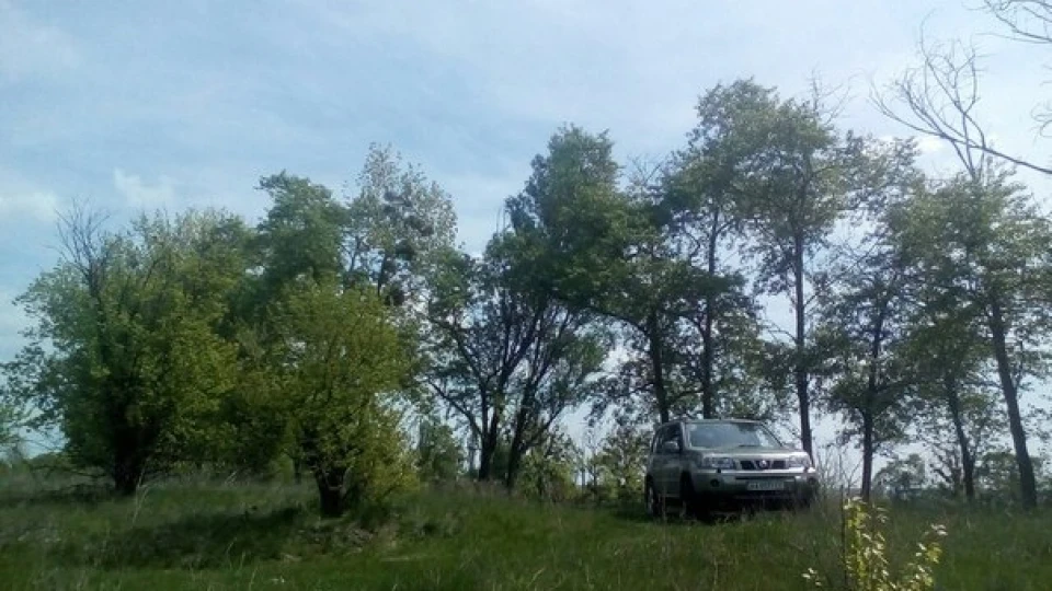 Nissan X-Trail Т30 Трактор 2