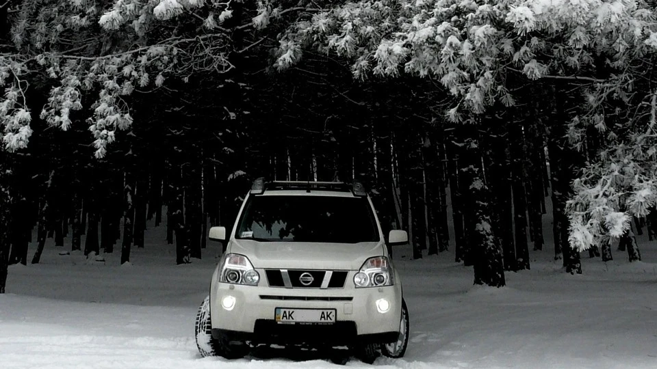 Nissan X-Trail "White ✯ horse" 3