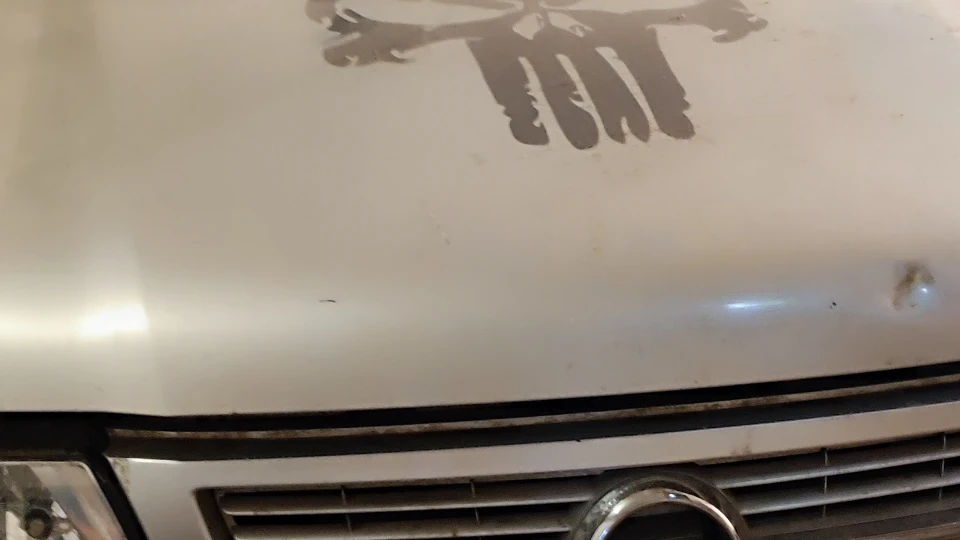 Opel Frontera B Лісовик 2