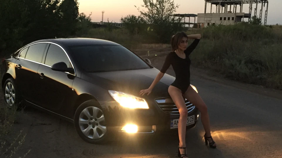 Opel Insignia Hatchback CDTI chocolate 2